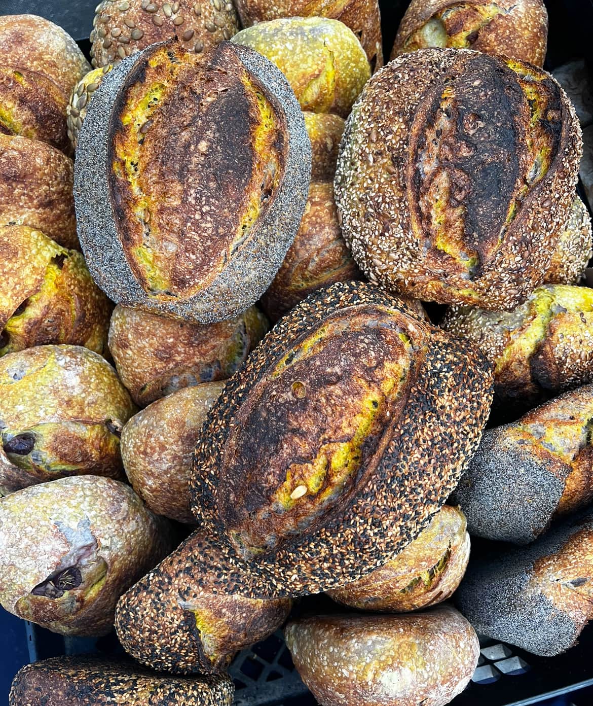 Häsi Bread