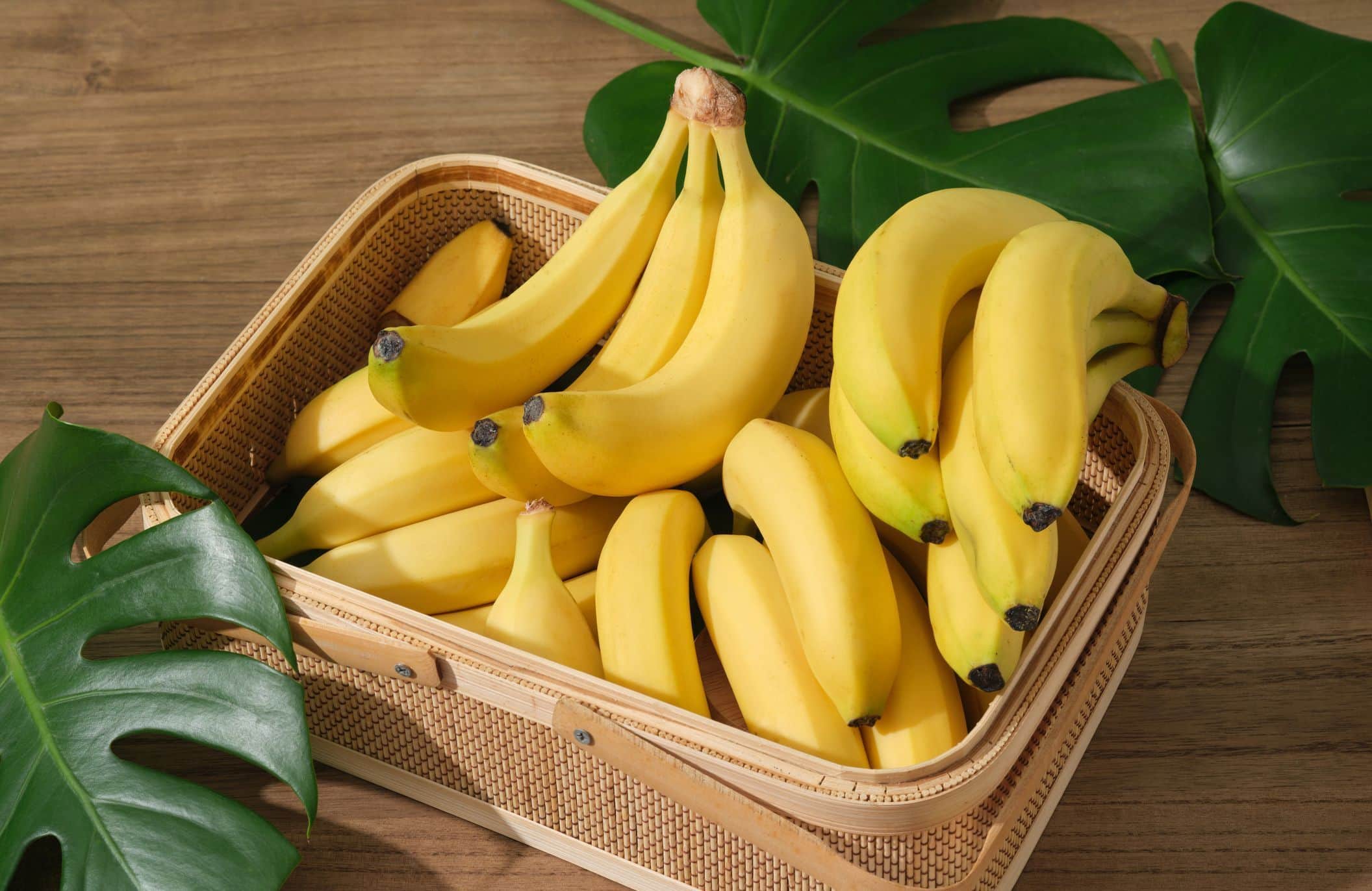 Fruit O Bureau