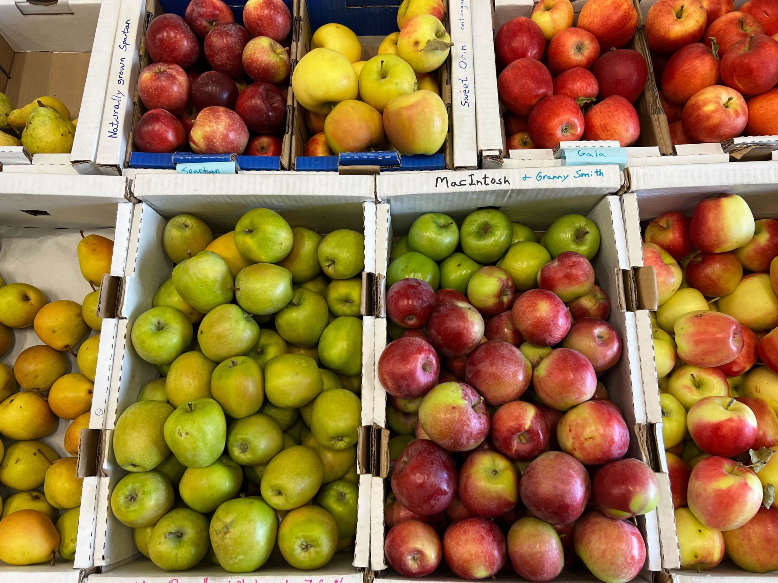 Apple Lady - Orchard Market